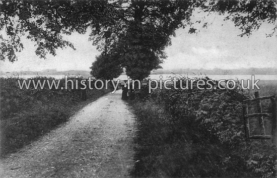 Creeksea Ferry Road, Burnham on Crouch, Essex. c.1905